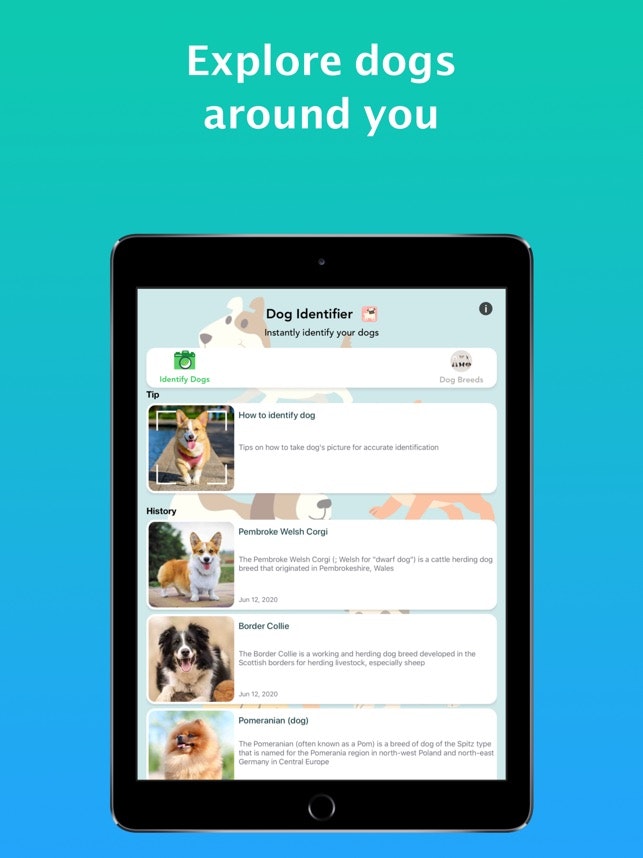 Dog Identifier - Dog Scanner gallery image