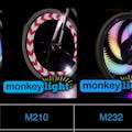 Monkey Lights