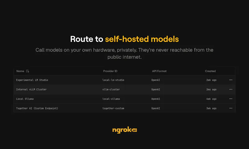 ngrok AI Gateway screenshot 6