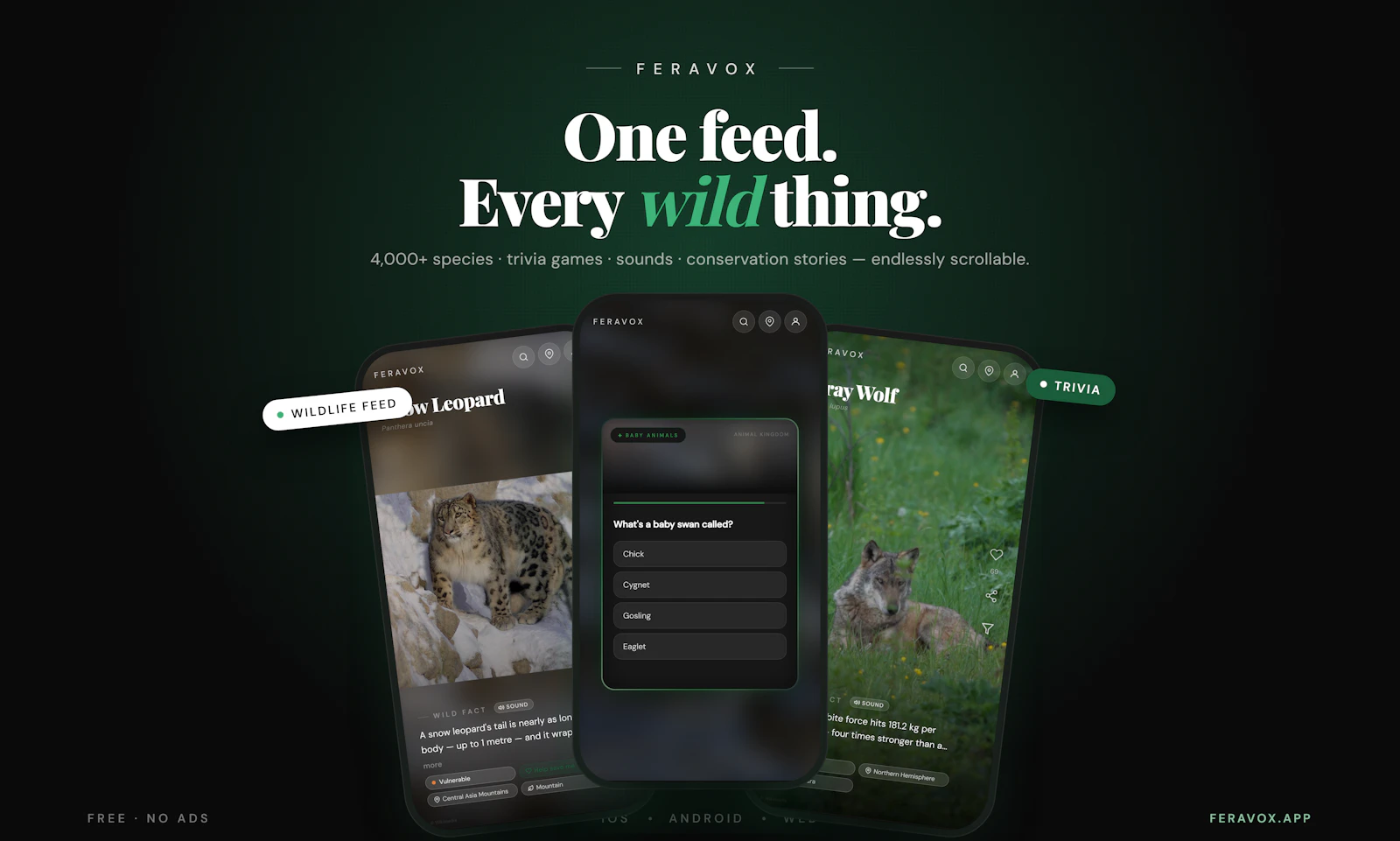 Feravox screenshot 5
