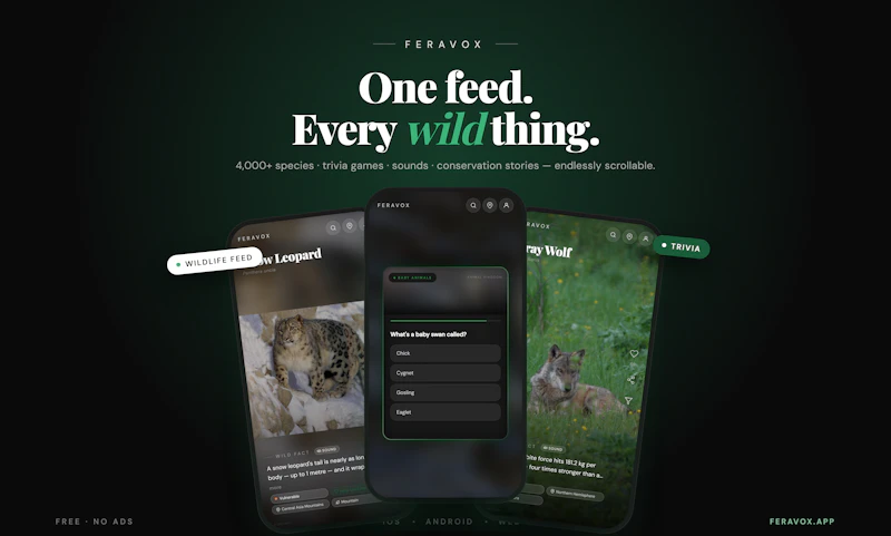 Feravox screenshot 5