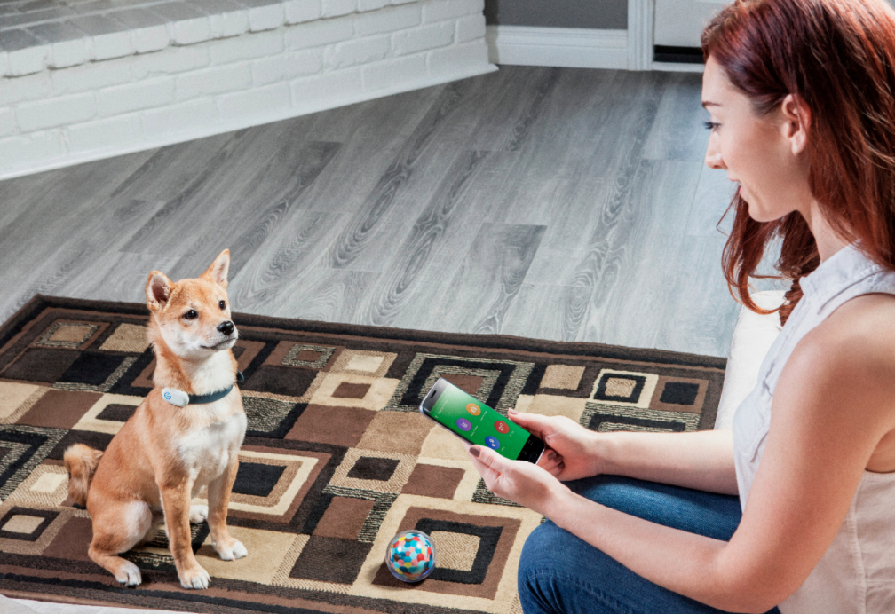 Pebby Pet Camera gallery image