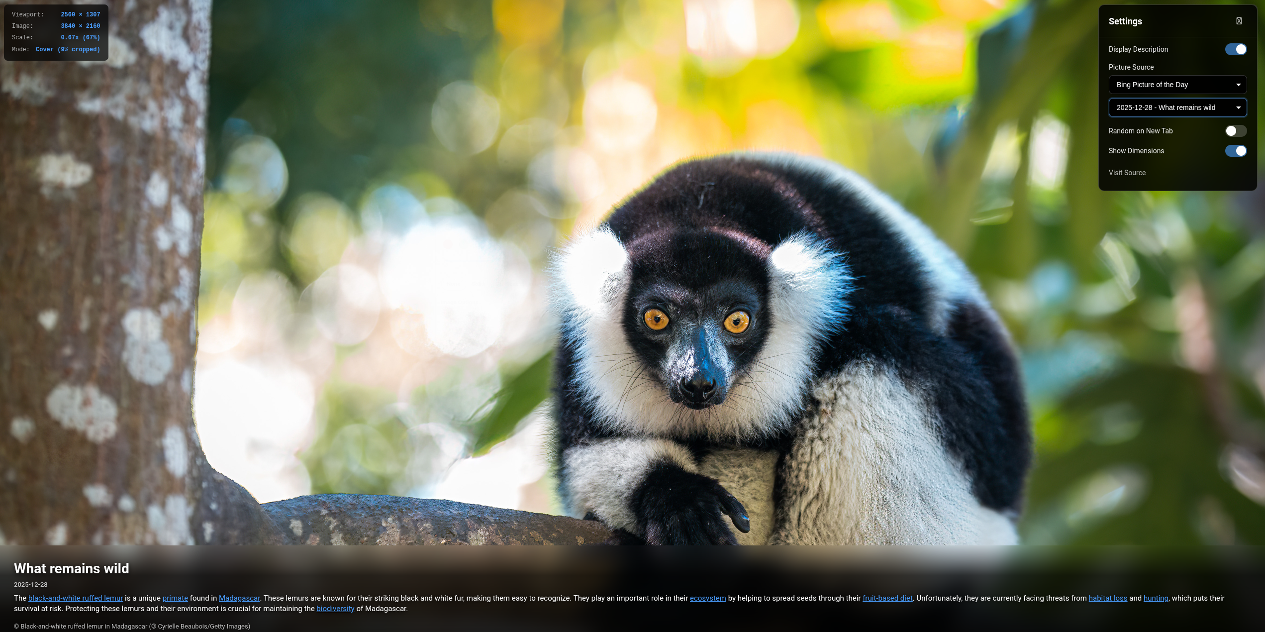 Picture of the Day gallery image