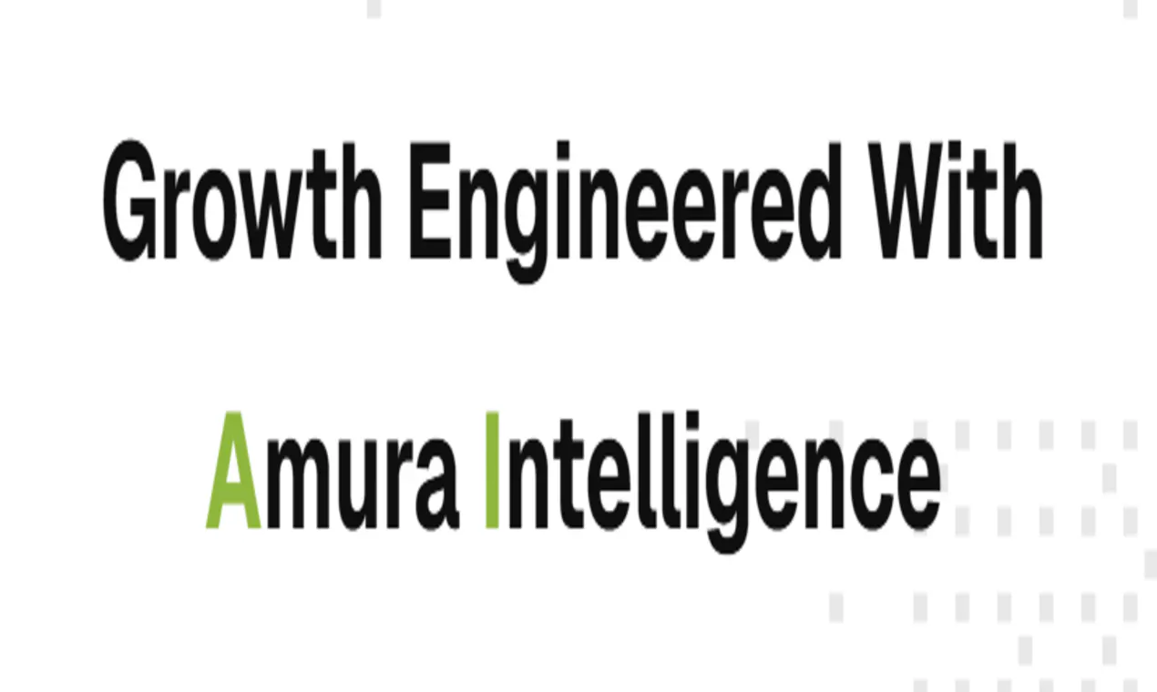 Amura Marketing Technologies 截图