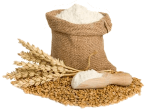 Bhagwati Shop gallery image