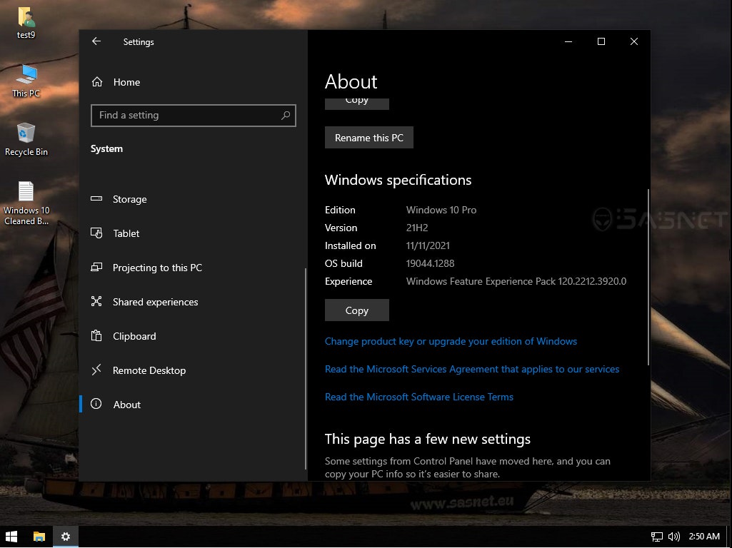 Windows 10 Pro x32-x64 21H2 Lite-SasNet gallery image