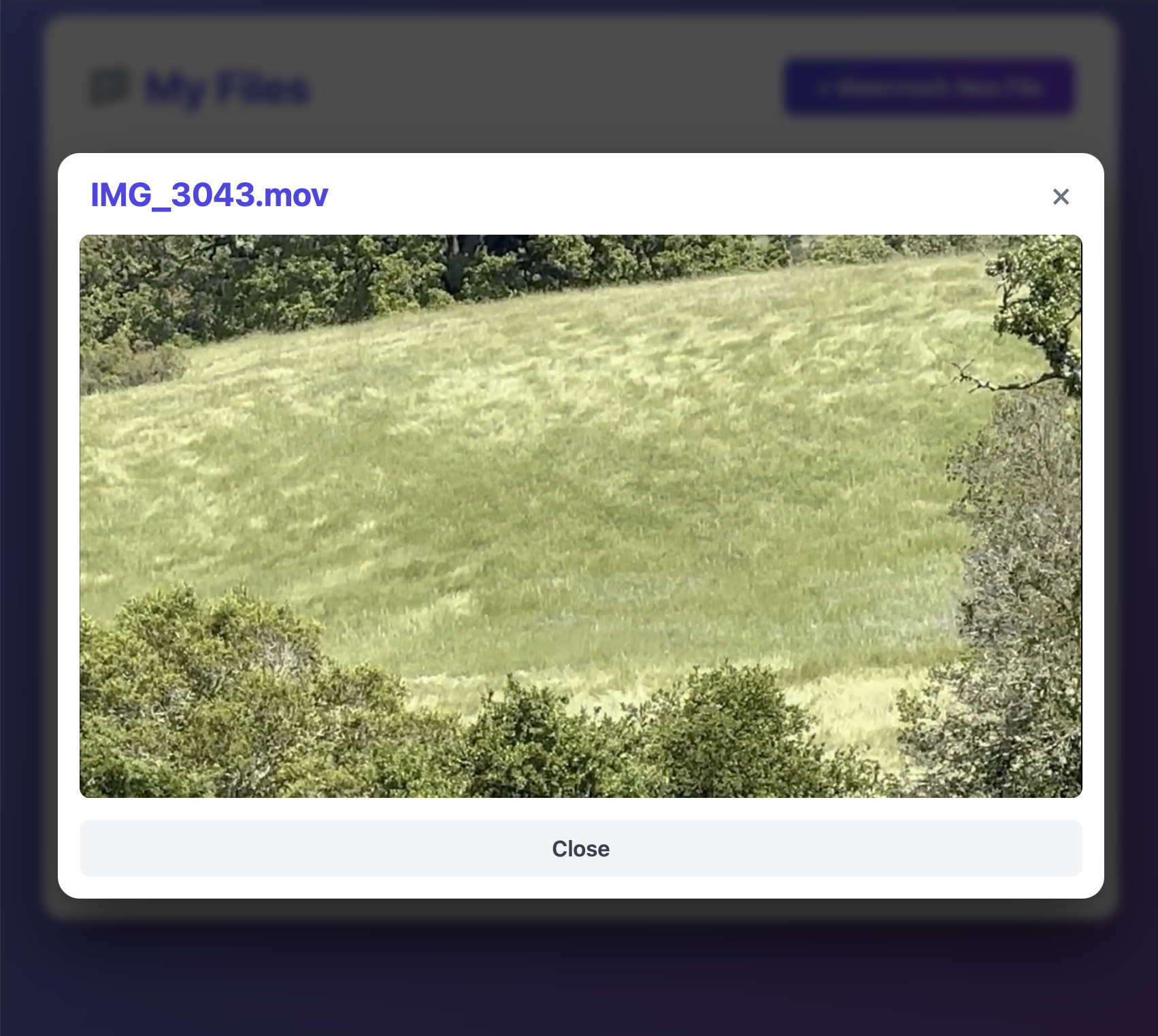 AIWatermark - Screenshot 4 showing product features and functionality