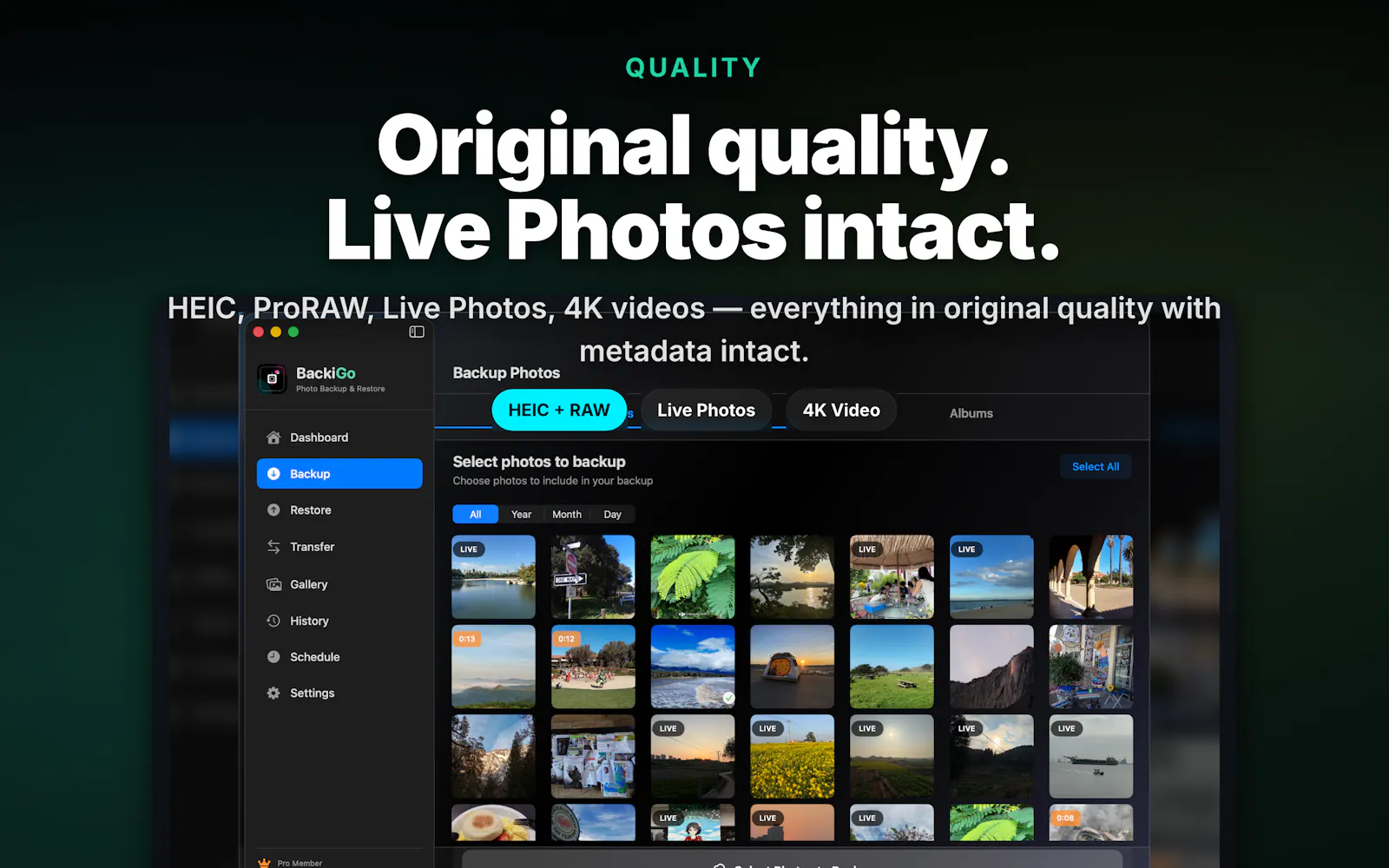 BackiGo screenshot 3