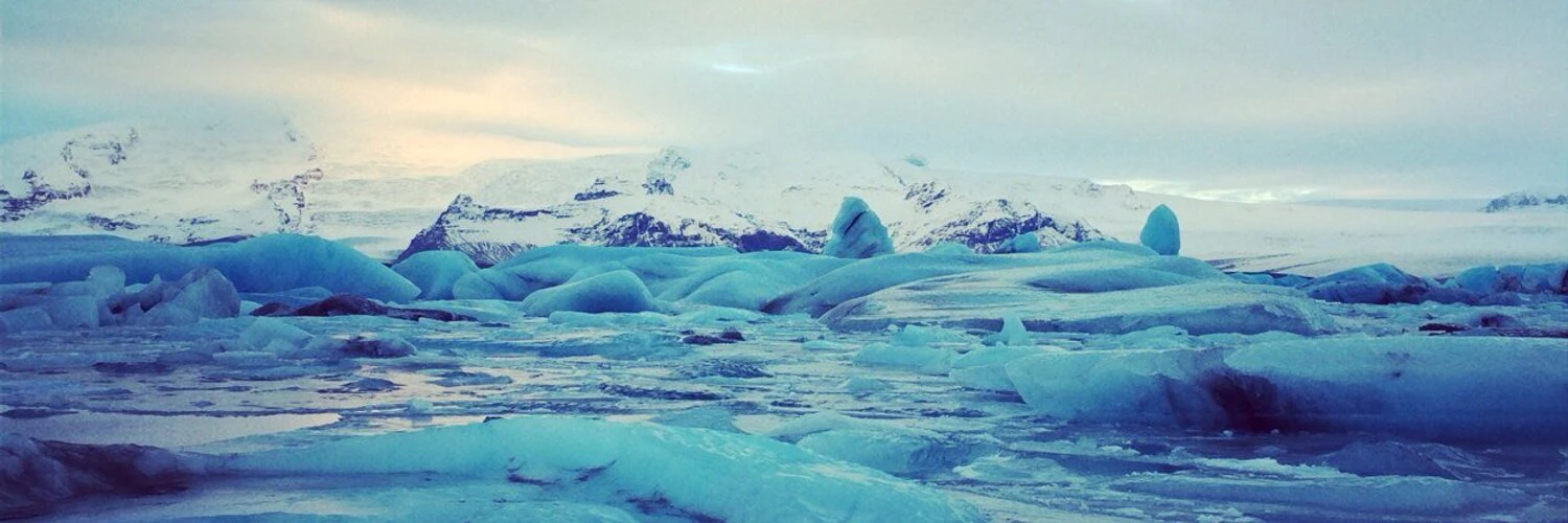 Michelle Fishberg cover