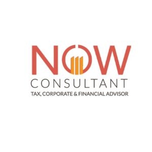 Now Consultant logo