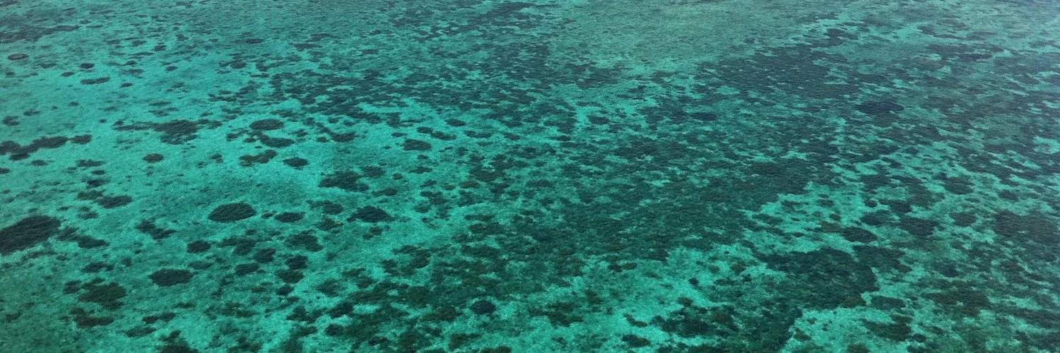 Ashton Kimberley cover