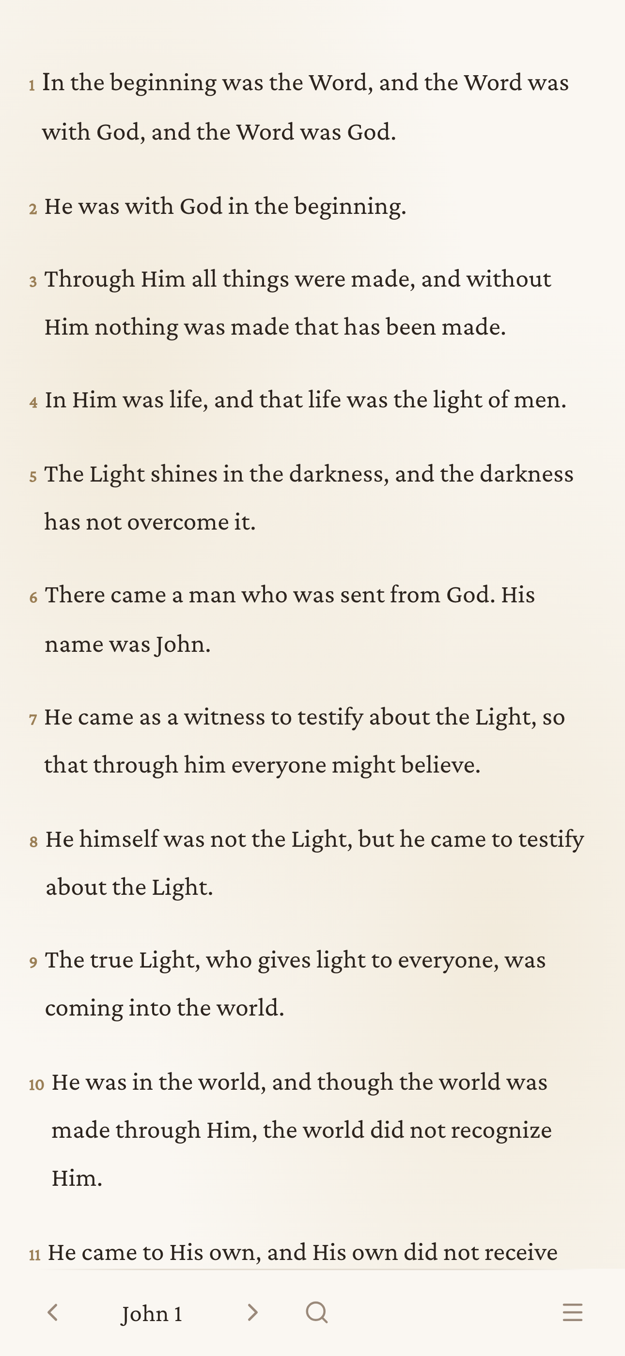 Lite Bible gallery image