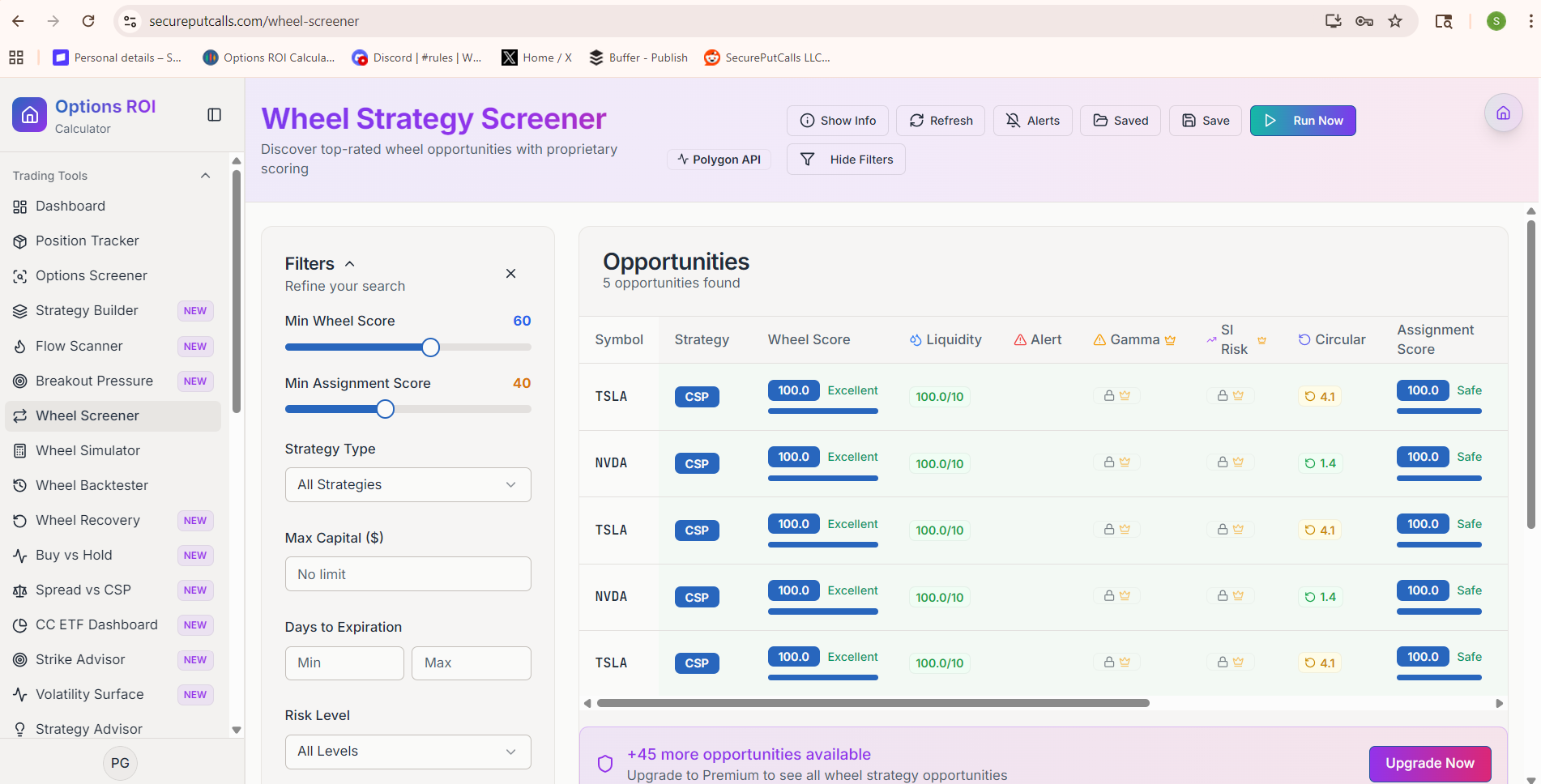 SecurePutCalls.com gallery image