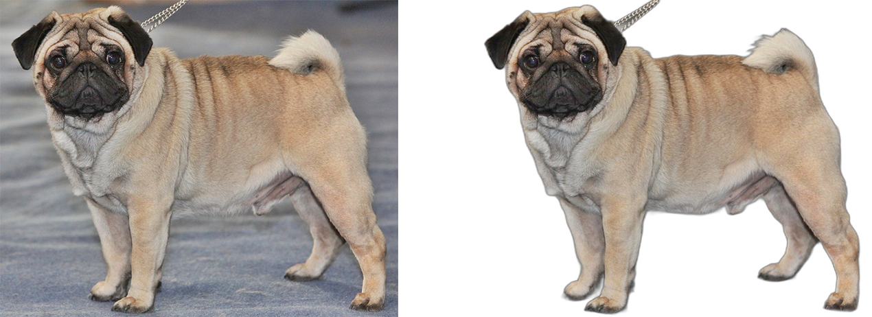 No More Background gallery image