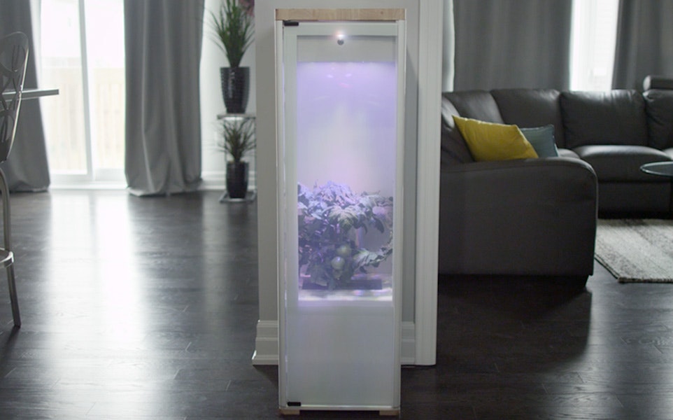 Grobo Smart Grow Box gallery image