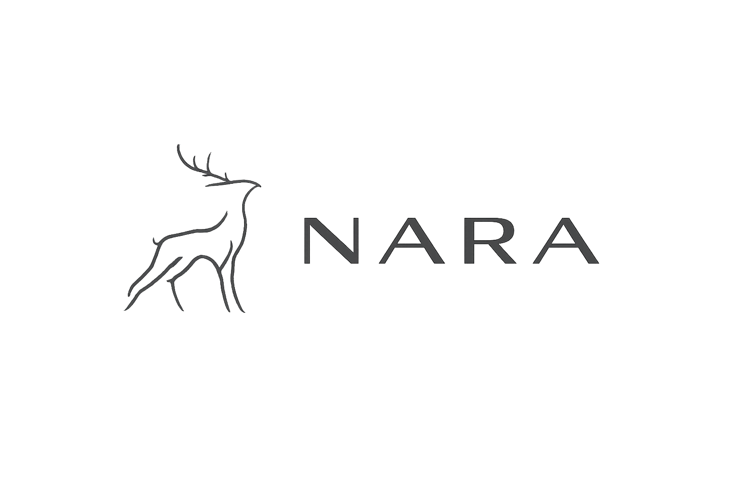 NARA - Product Hunt launch logo and brand identity
