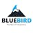 Bluebird Build