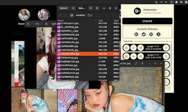 Webpecker gallery image