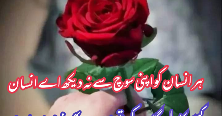 Awais jutt  gallery image
