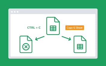 Copy Protected Google Sheets gallery image