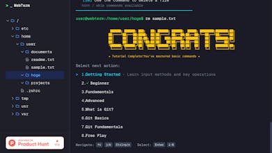 WebTerm gallery image