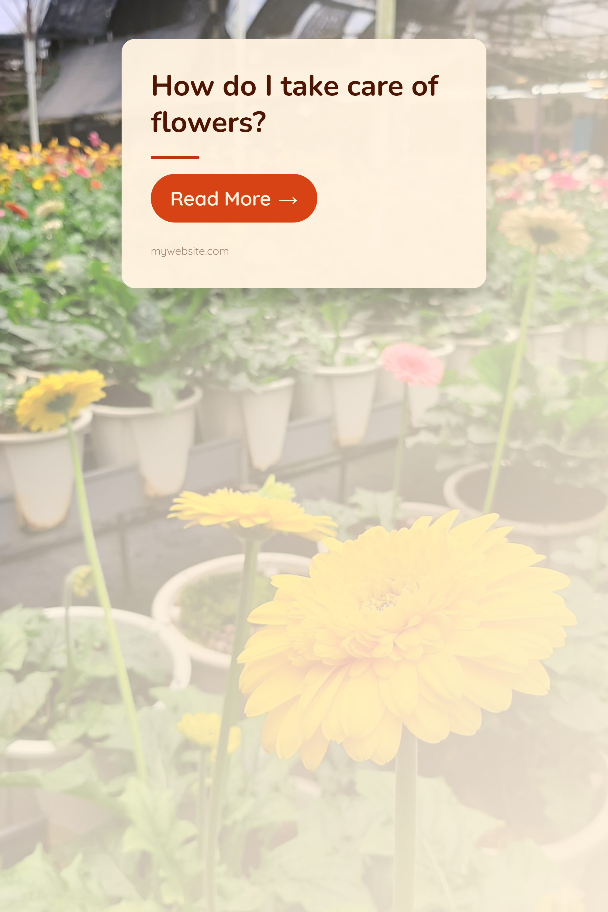 Pinterest Pins generator - Screenshot 4 showing product features and functionality