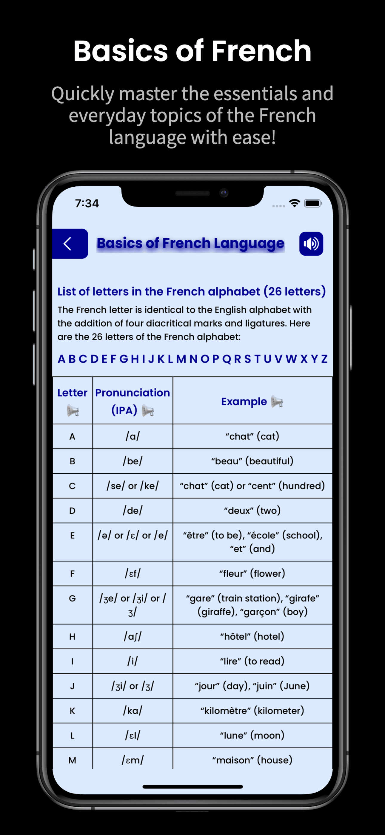 Learn French: Verb Forms media 8