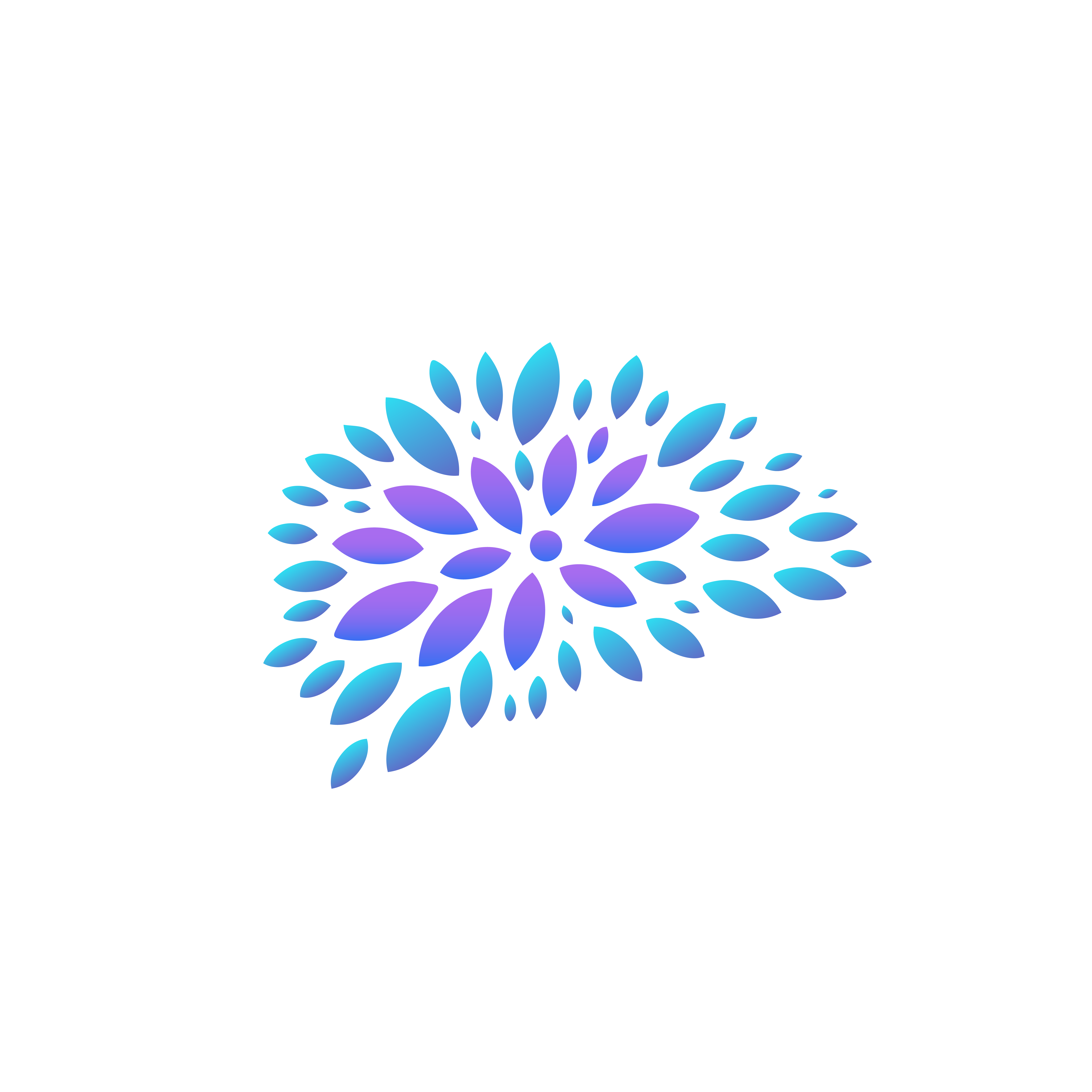 Viva Visuals