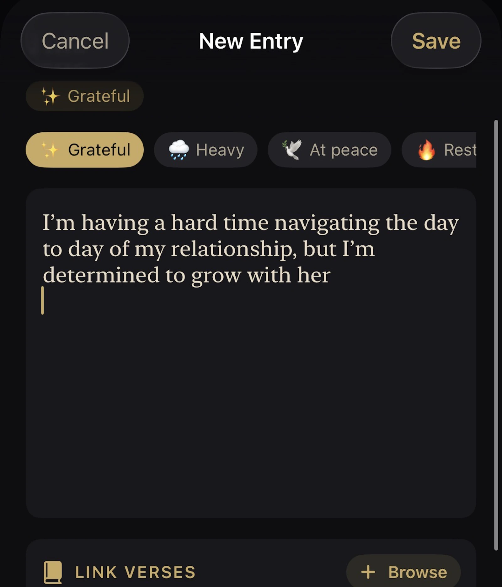 Rock - Scripture Companion screenshot 3