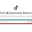 TikTok Watermark Remover Free Online