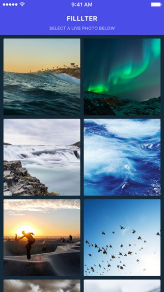 Filllter gallery image