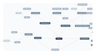 Hootly gallery image