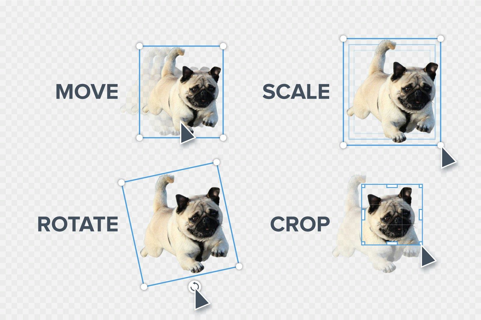 Trace 2.0 by Sticker Mule gallery image