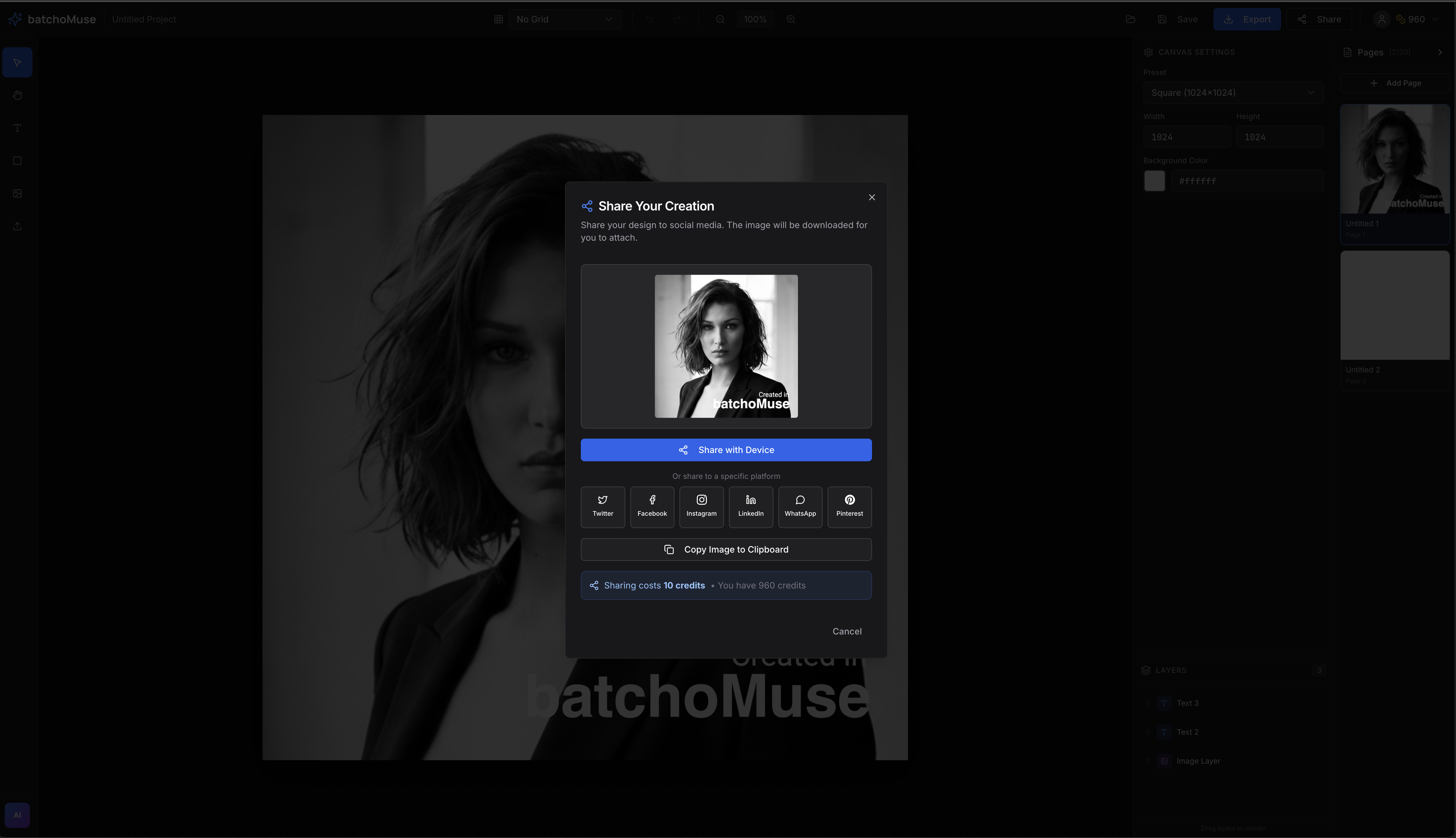 BatchoMuse - Screenshot 4 showing product features and functionality