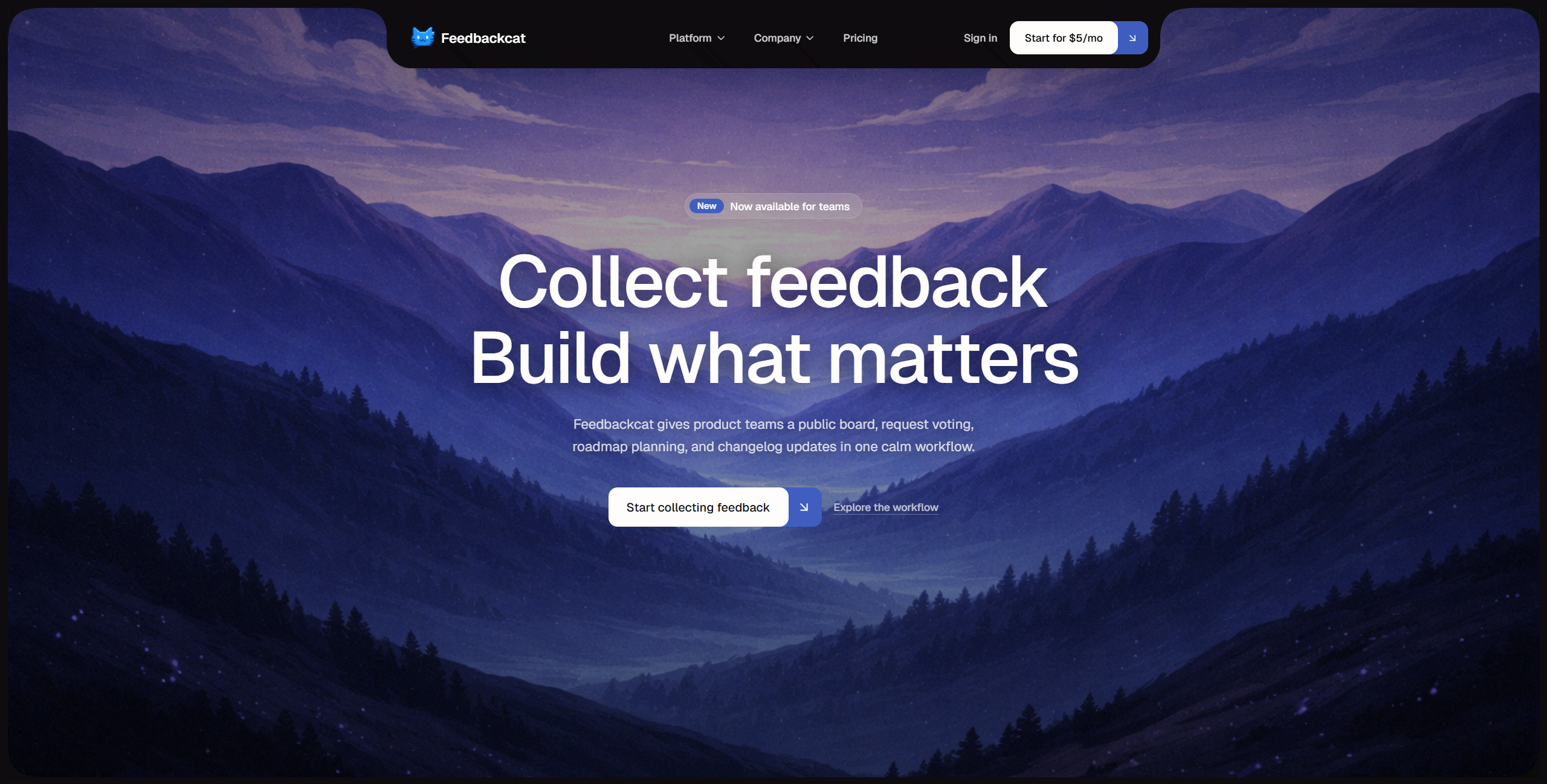 FeedbackCat - Main product screenshot demonstrating key features and user interface