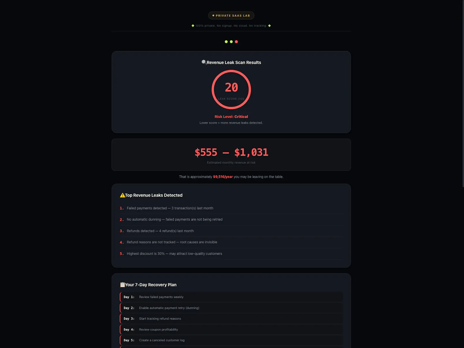 Revenue Leak Scanner — Private SaaS Lab screenshot 2