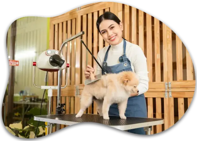 Professional Dog Grooming Abu Dhabi  screenshot 1