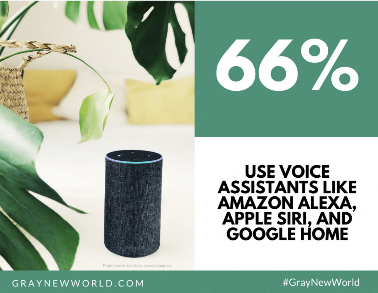 Gray New World gallery image