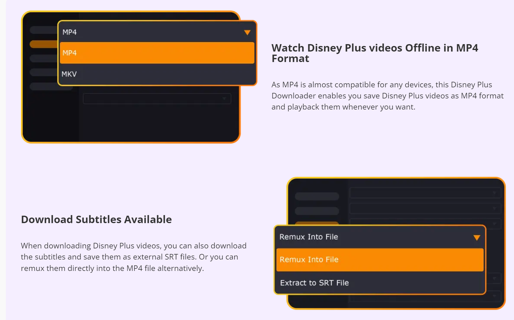 Y2MAT Disney Plus Downloader media 3