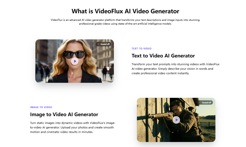 VideoFlux gallery image