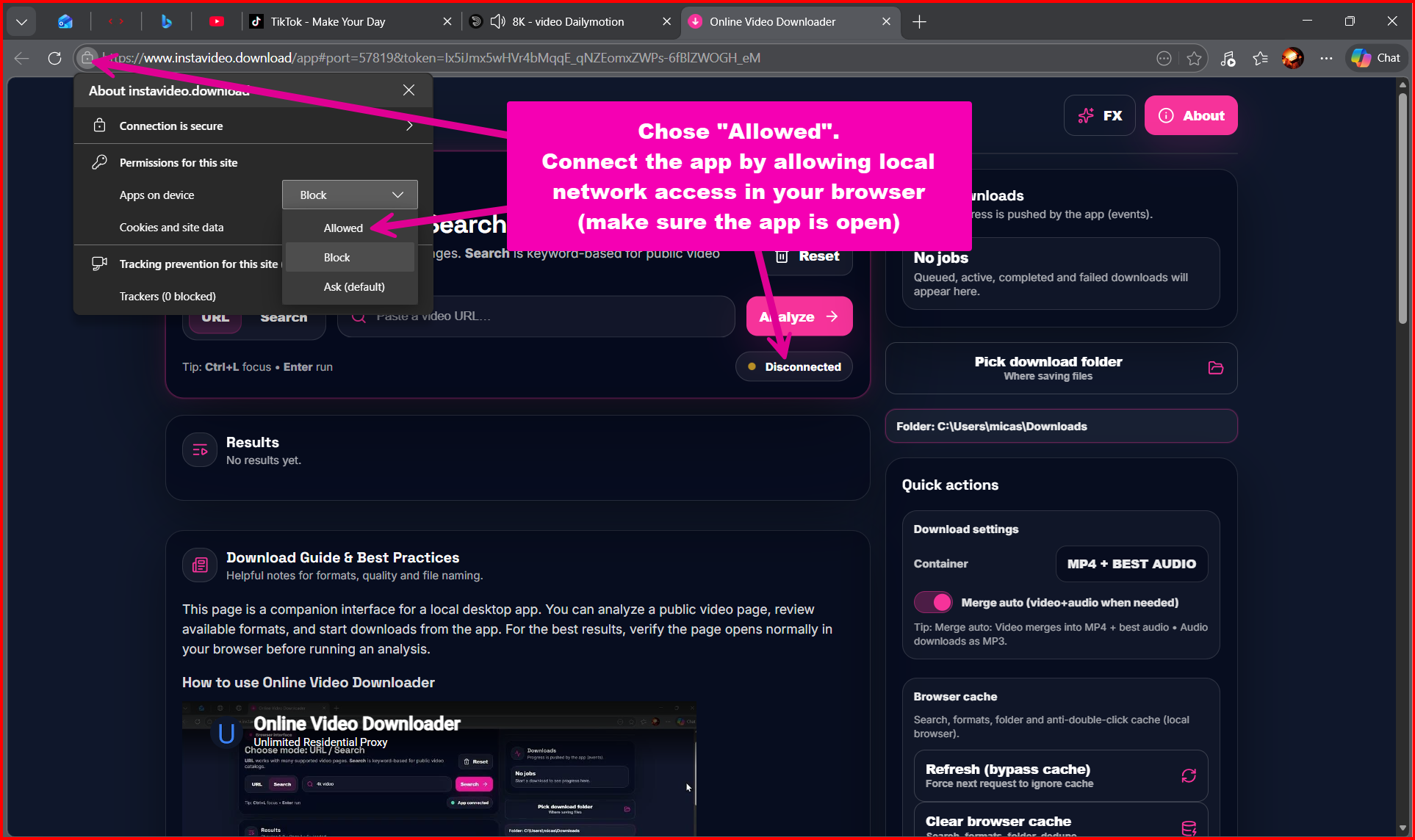 Online Video Downloader gallery image