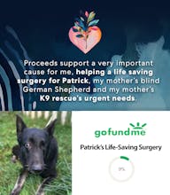 Ultimate Reflection & Intention Guide v8 gallery image