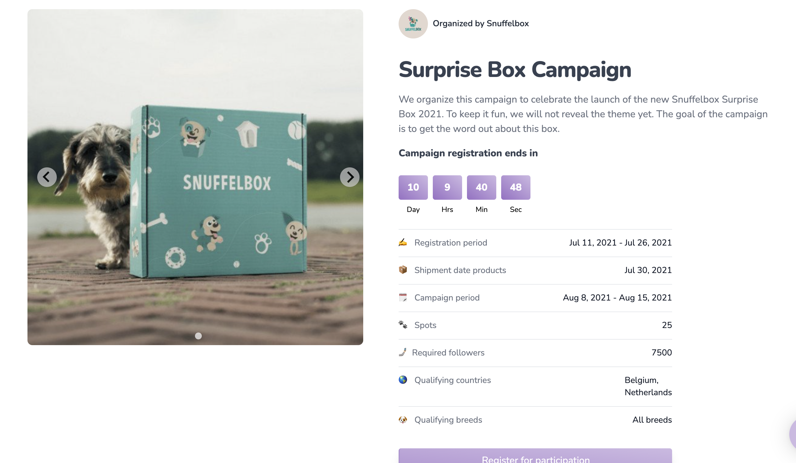 Dogfluence gallery image