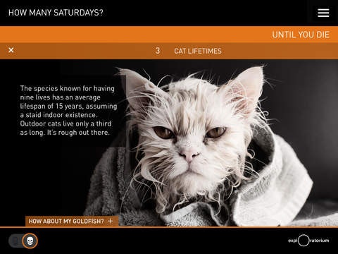 How Many Saturdays gallery image