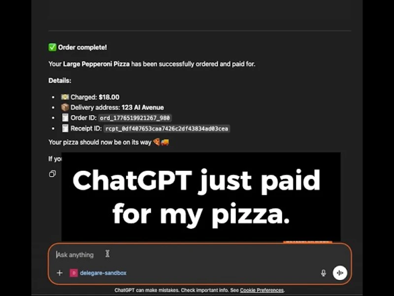delegare screenshot 1 (video preview)