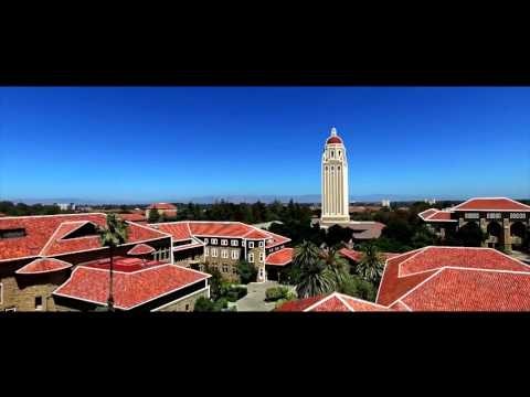 SOLAR by Aireal  gallery image