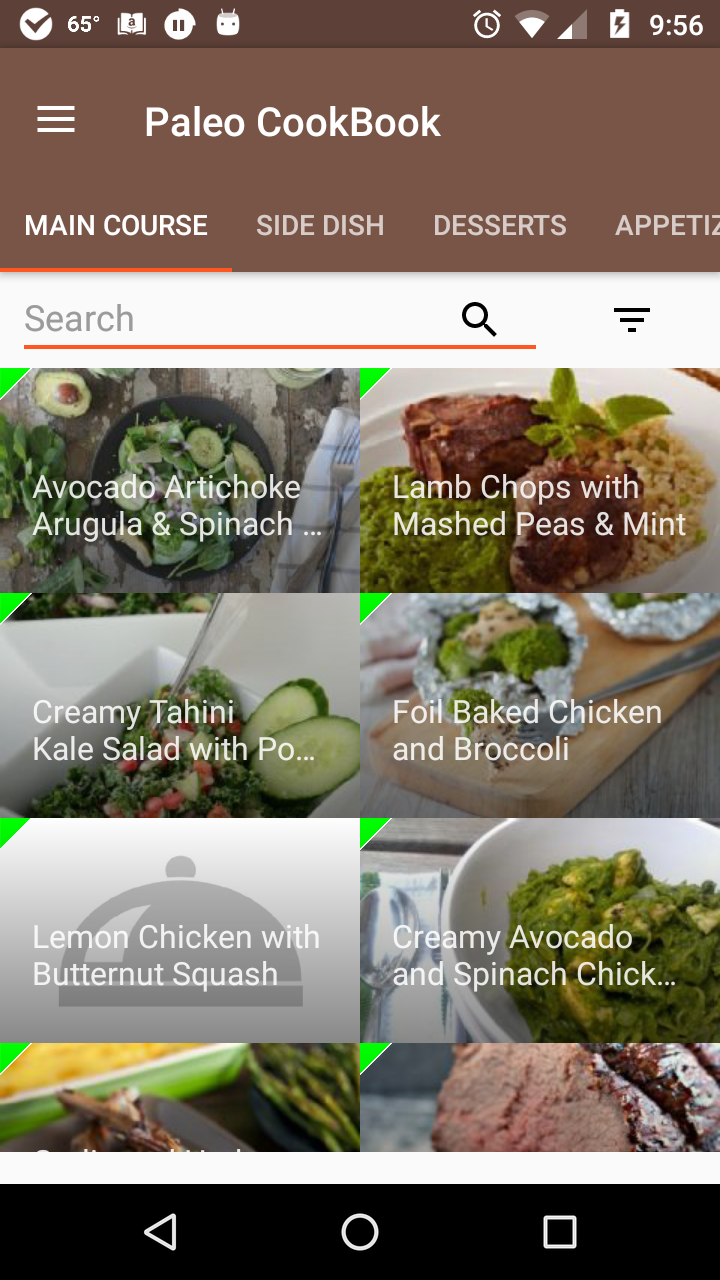 Paleo Diet CookBook gallery image