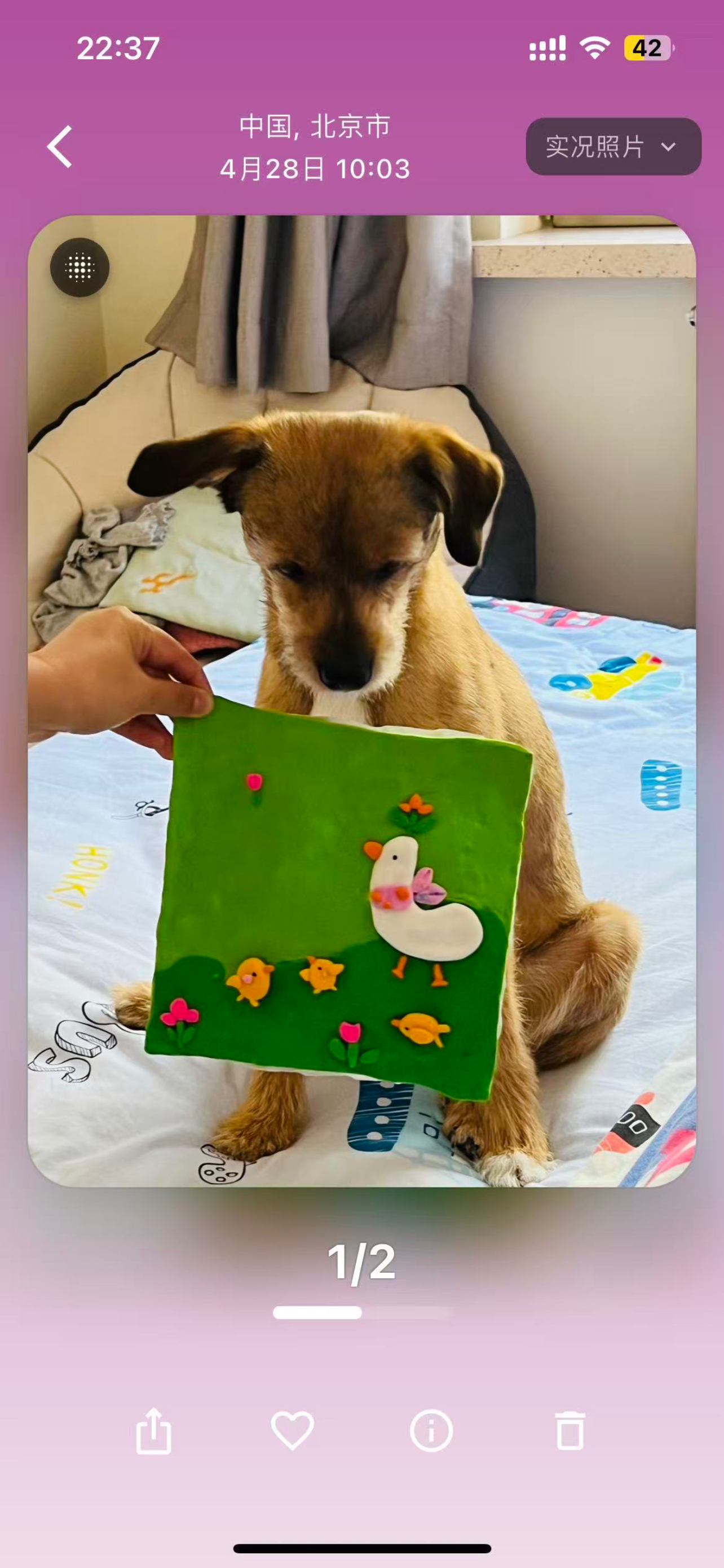 回忆盲盒 - Memory Blind Box - Main product screenshot demonstrating key features and user interface