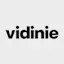 Vidinie