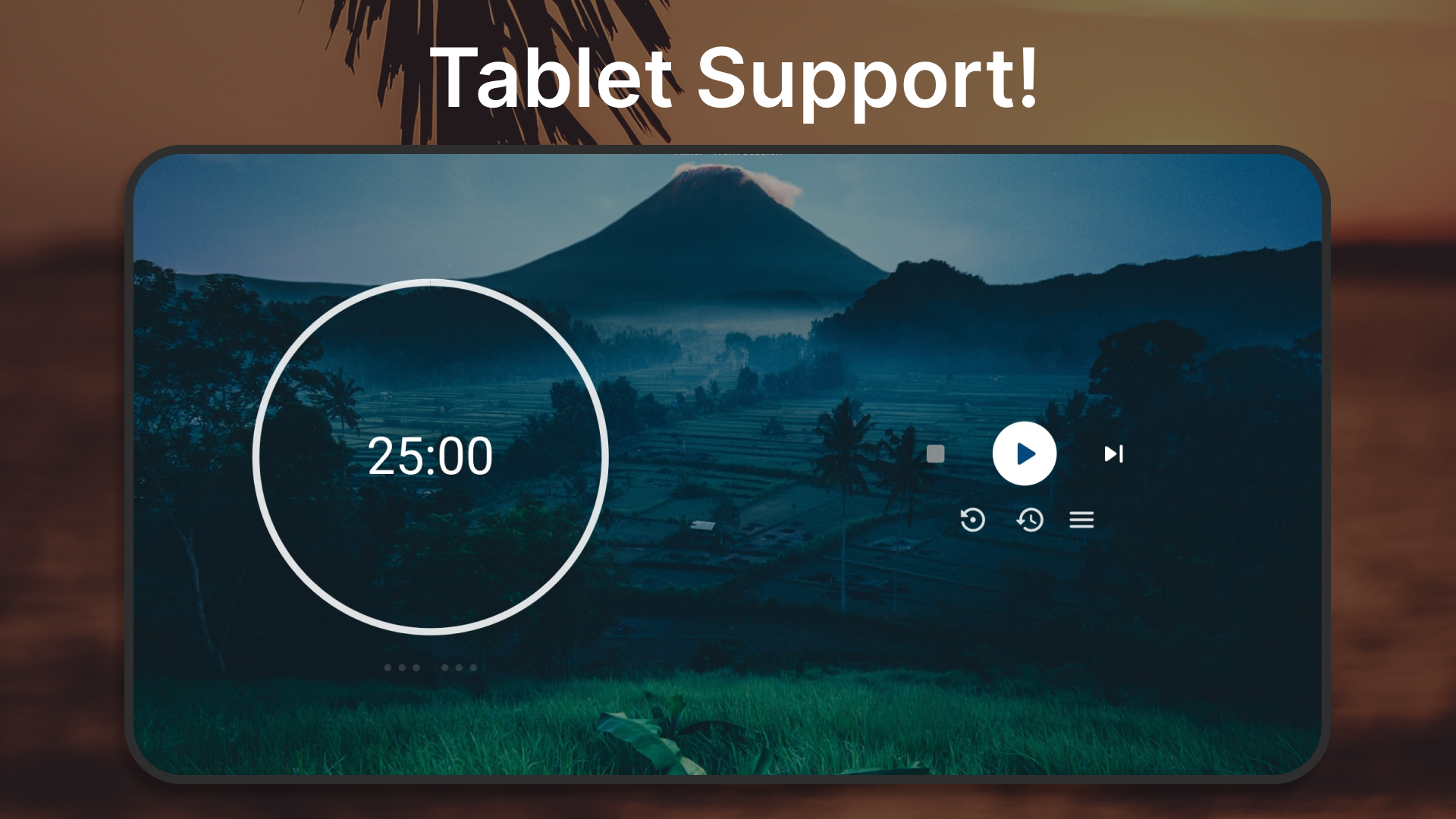 Focus Dojo gallery image